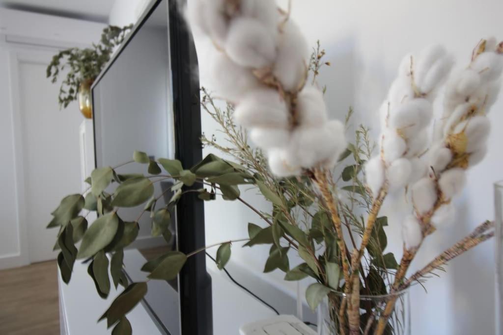 Apartamento Pluma Y Espada *